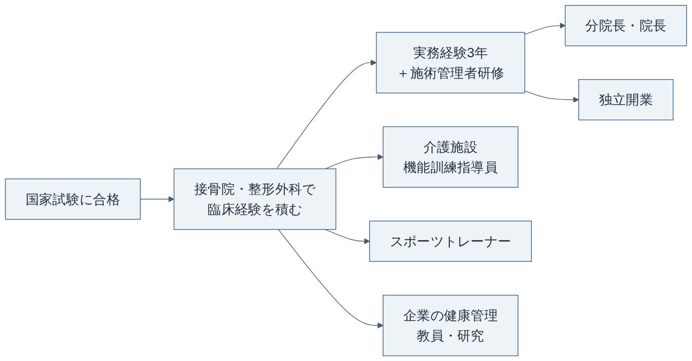 柔道整復師の主なキャリアパス