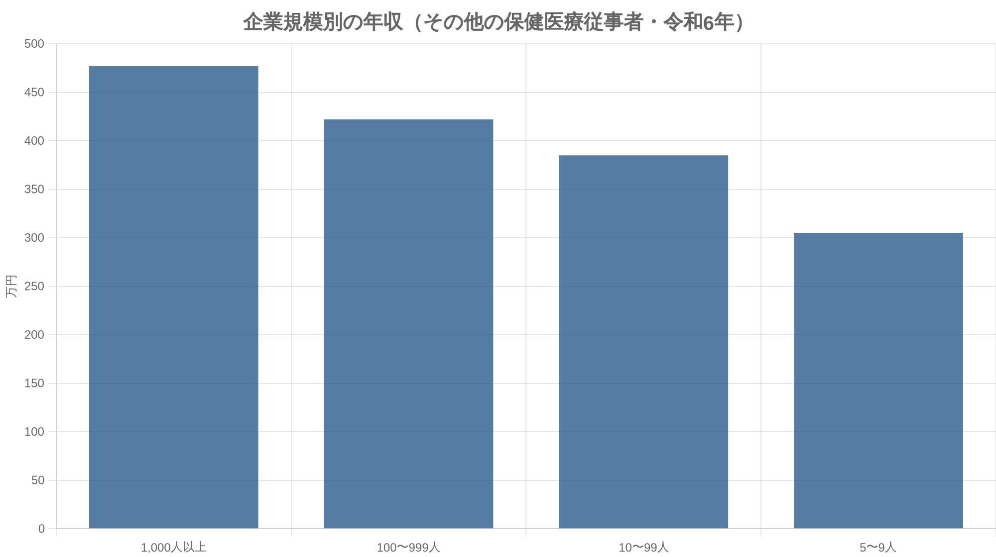 企業規模別の年収（その他の保健医療従事者・令和6年）